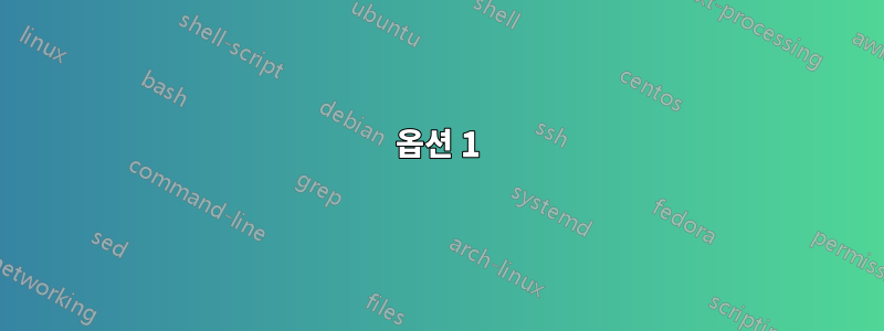 옵션 1