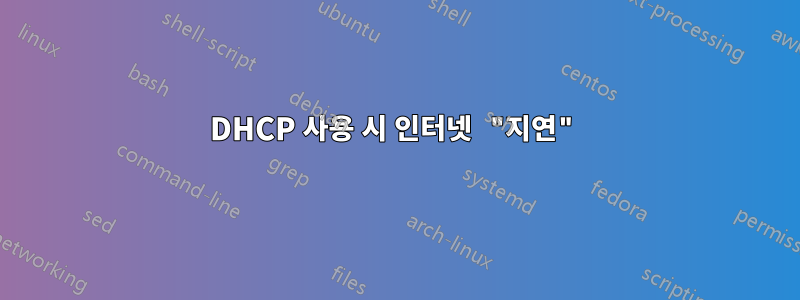 DHCP 사용 시 인터넷 "지연"