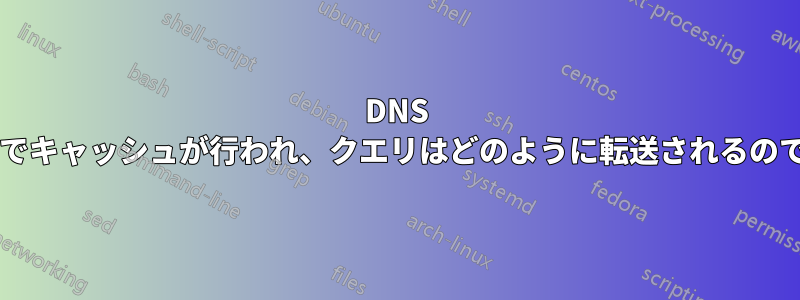 DNS 階層のどこでキャッシュが行われ、クエリはどのように転送されるのでしょうか?