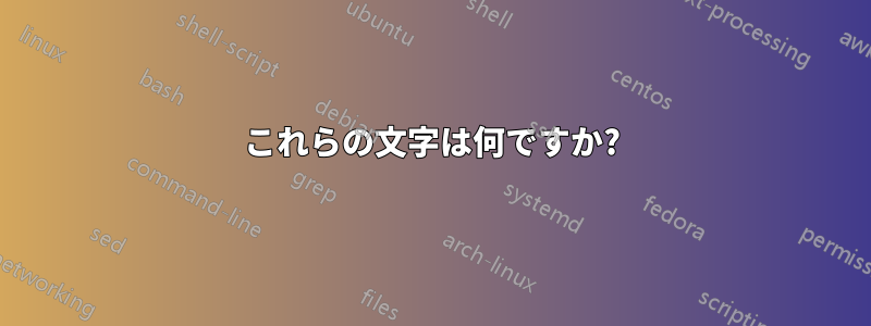 これらの文字は何ですか?