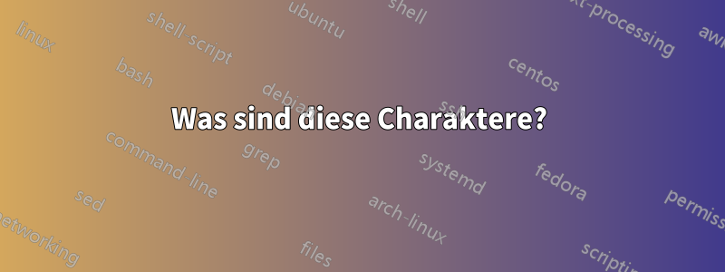 Was sind diese Charaktere?