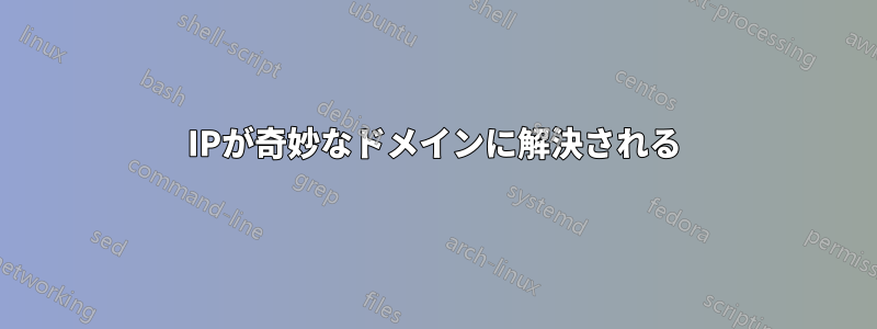 IPが奇妙なドメインに解決される