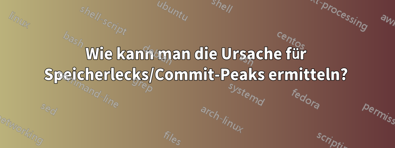 Wie kann man die Ursache für Speicherlecks/Commit-Peaks ermitteln?