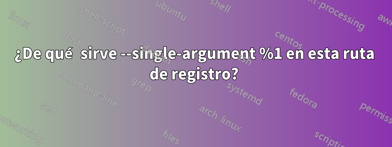 ¿De qué sirve --single-argument %1 en esta ruta de registro?