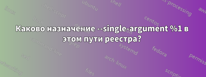 Каково назначение --single-argument %1 в этом пути реестра?