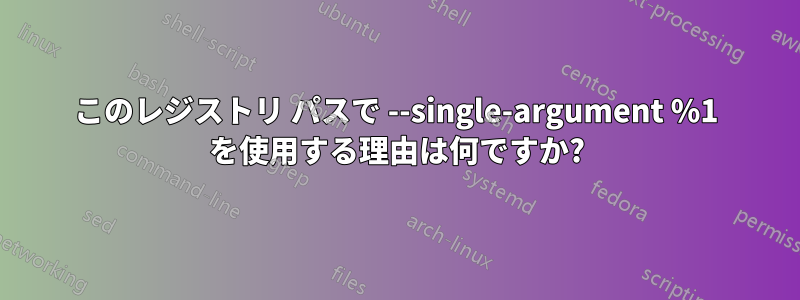 このレジストリ パスで --single-argument %1 を使用する理由は何ですか?