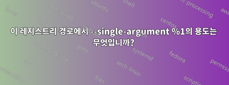 이 레지스트리 경로에서 --single-argument %1의 용도는 무엇입니까?