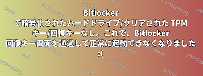Bitlocker で暗号化されたハードドライブ/クリアされた TPM キー/回復キーなし。これで、Bitlocker 回復キー画面を通過して正常に起動できなくなりました :(