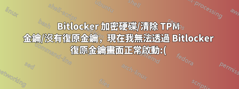 Bitlocker 加密硬碟/清除 TPM 金鑰/沒有復原金鑰，現在我無法透過 Bitlocker 復原金鑰畫面正常啟動:(