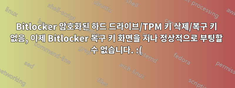 Bitlocker 암호화된 하드 드라이브/TPM 키 삭제/복구 키 없음, 이제 Bitlocker 복구 키 화면을 지나 정상적으로 부팅할 수 없습니다. :(