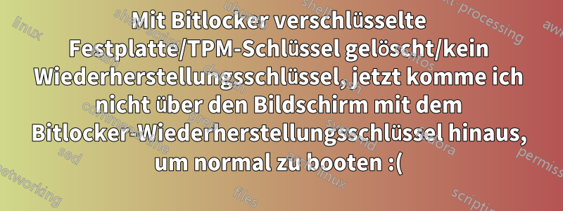 Mit Bitlocker verschlüsselte Festplatte/TPM-Schlüssel gelöscht/kein Wiederherstellungsschlüssel, jetzt komme ich nicht über den Bildschirm mit dem Bitlocker-Wiederherstellungsschlüssel hinaus, um normal zu booten :(