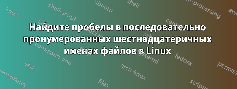 Найдите пробелы в последовательно пронумерованных шестнадцатеричных именах файлов в Linux