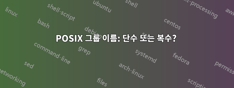 POSIX 그룹 이름: 단수 또는 복수?