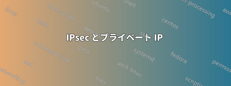 IPsec とプライベート IP
