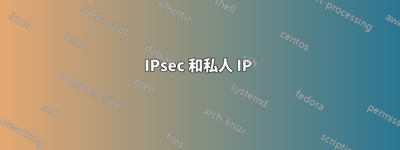 IPsec 和私人 IP
