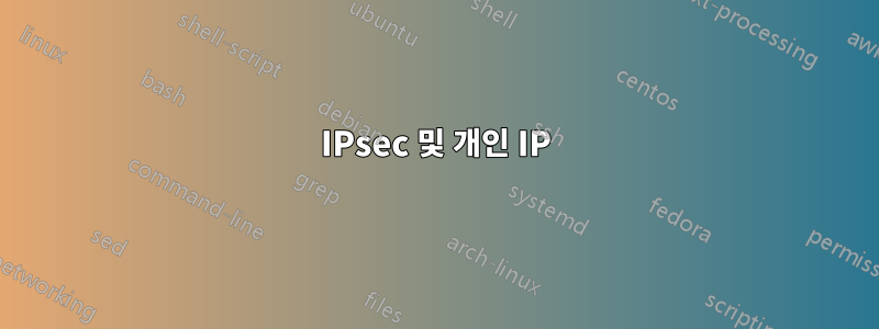 IPsec 및 개인 IP