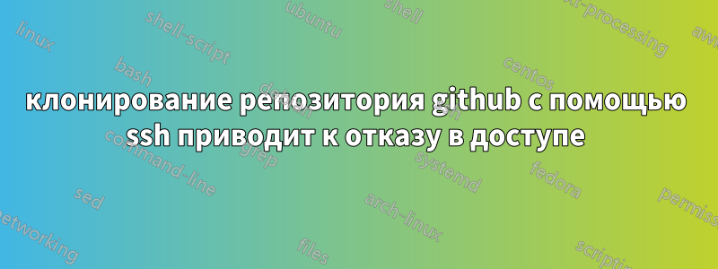 клонирование репозитория github с помощью ssh приводит к отказу в доступе