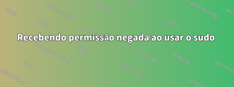 Recebendo permissão negada ao usar o sudo
