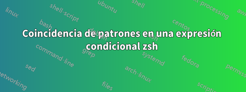 Coincidencia de patrones en una expresión condicional zsh
