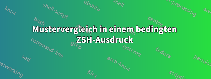 Mustervergleich in einem bedingten ZSH-Ausdruck