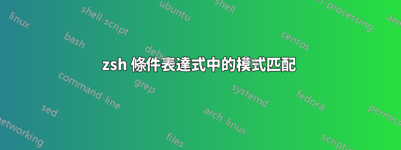 zsh 條件表達式中的模式匹配