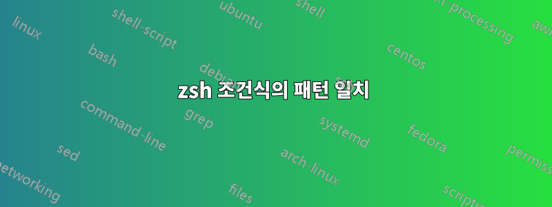 zsh 조건식의 패턴 일치