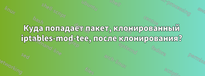 Куда попадает пакет, клонированный iptables-mod-tee, после клонирования?