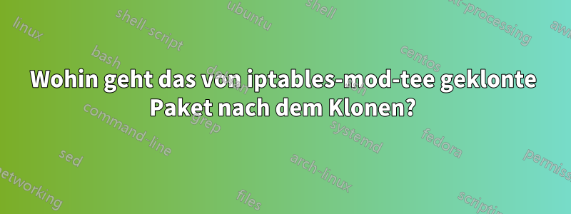 Wohin geht das von iptables-mod-tee geklonte Paket nach dem Klonen?