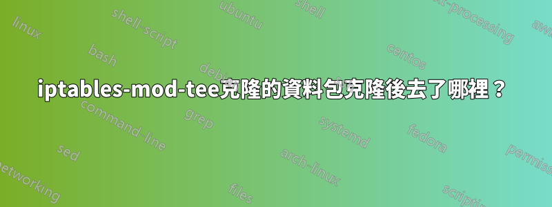 iptables-mod-tee克隆的資料包克隆後去了哪裡?