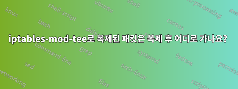 iptables-mod-tee로 복제된 패킷은 복제 후 어디로 가나요?