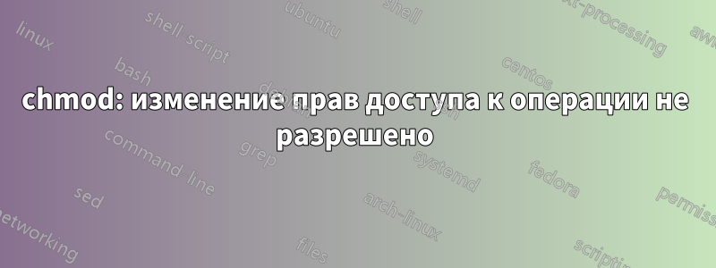 chmod: изменение прав доступа к операции не разрешено