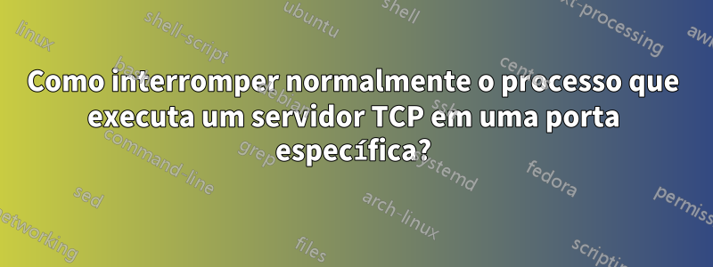 Como interromper normalmente o processo que executa um servidor TCP em uma porta específica?