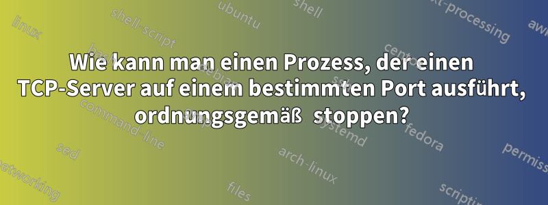 Wie kann man einen Prozess, der einen TCP-Server auf einem bestimmten Port ausführt, ordnungsgemäß stoppen?