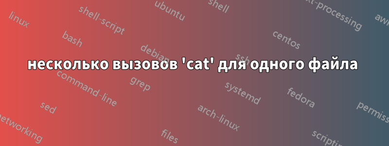 несколько вызовов 'cat' для одного файла