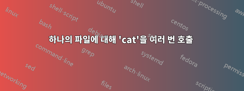 하나의 파일에 대해 'cat'을 여러 번 호출