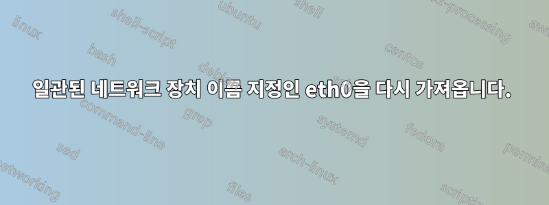 일관된 네트워크 장치 이름 지정인 eth0을 다시 가져옵니다.