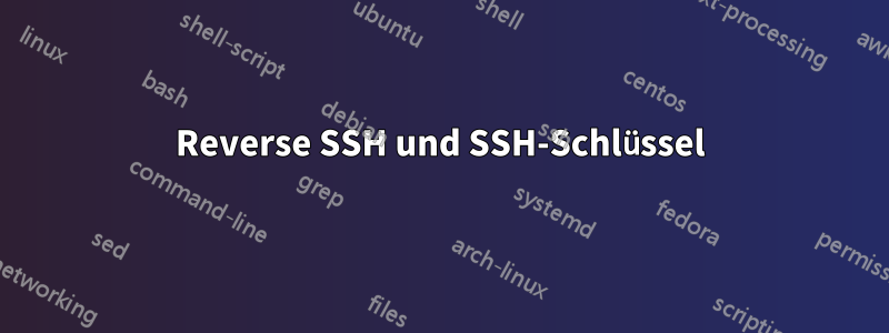 Reverse SSH und SSH-Schlüssel