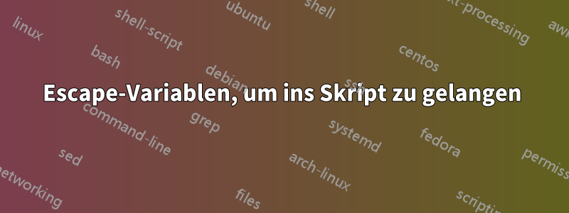 Escape-Variablen, um ins Skript zu gelangen