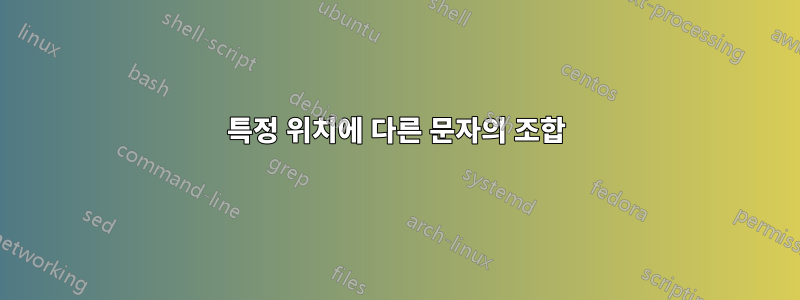 특정 위치에 다른 문자의 조합