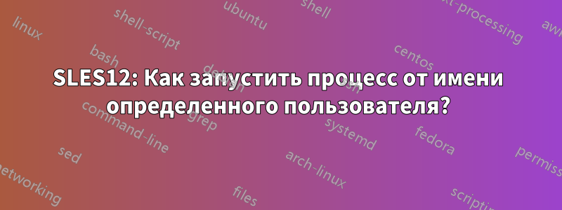 SLES12: Как запустить процесс от имени определенного пользователя?