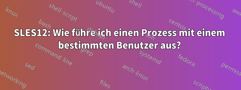 SLES12: Wie führe ich einen Prozess mit einem bestimmten Benutzer aus?