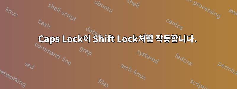 Caps Lock이 Shift Lock처럼 작동합니다.