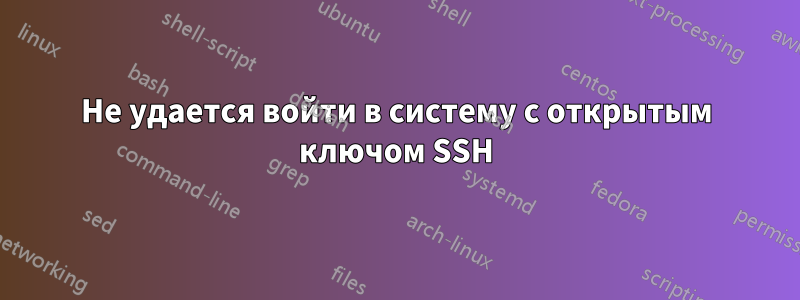 Не удается войти в систему с открытым ключом SSH