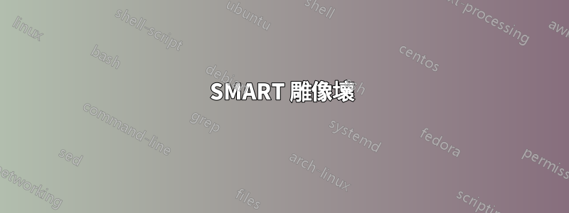 SMART 雕像壞