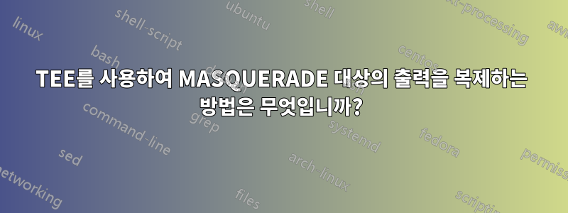 TEE를 사용하여 MASQUERADE 대상의 출력을 복제하는 방법은 무엇입니까?