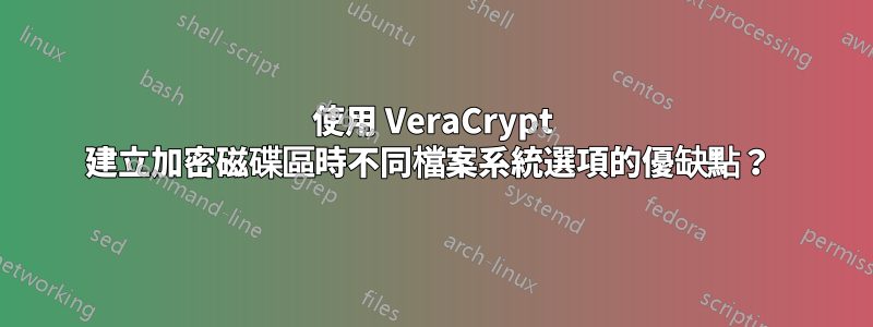 使用 VeraCrypt 建立加密磁碟區時不同檔案系統選項的優缺點？ 