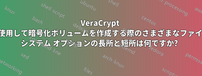 VeraCrypt を使用して暗号化ボリュームを作成する際のさまざまなファイル システム オプションの長所と短所は何ですか? 