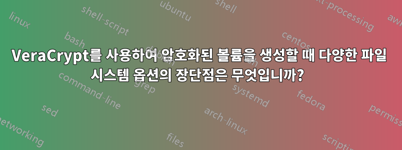 VeraCrypt를 사용하여 암호화된 볼륨을 생성할 때 다양한 파일 시스템 옵션의 장단점은 무엇입니까? 