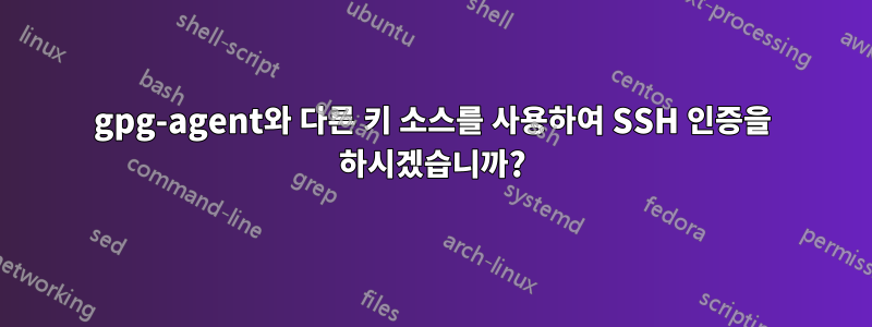 gpg-agent와 다른 키 소스를 사용하여 SSH 인증을 하시겠습니까?