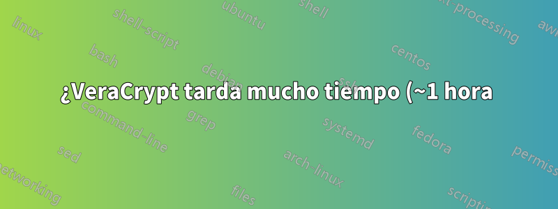 ¿VeraCrypt tarda mucho tiempo (~1 hora) en crear volumen?